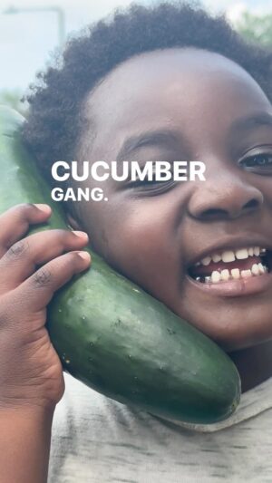 Bertram Williams Jr. Instagram - Drop a 🥒 if you want to get down w the ganggg 🤝🏾

#BIGFARMA #BIGFARMASAID #NEWMUSIC OTW