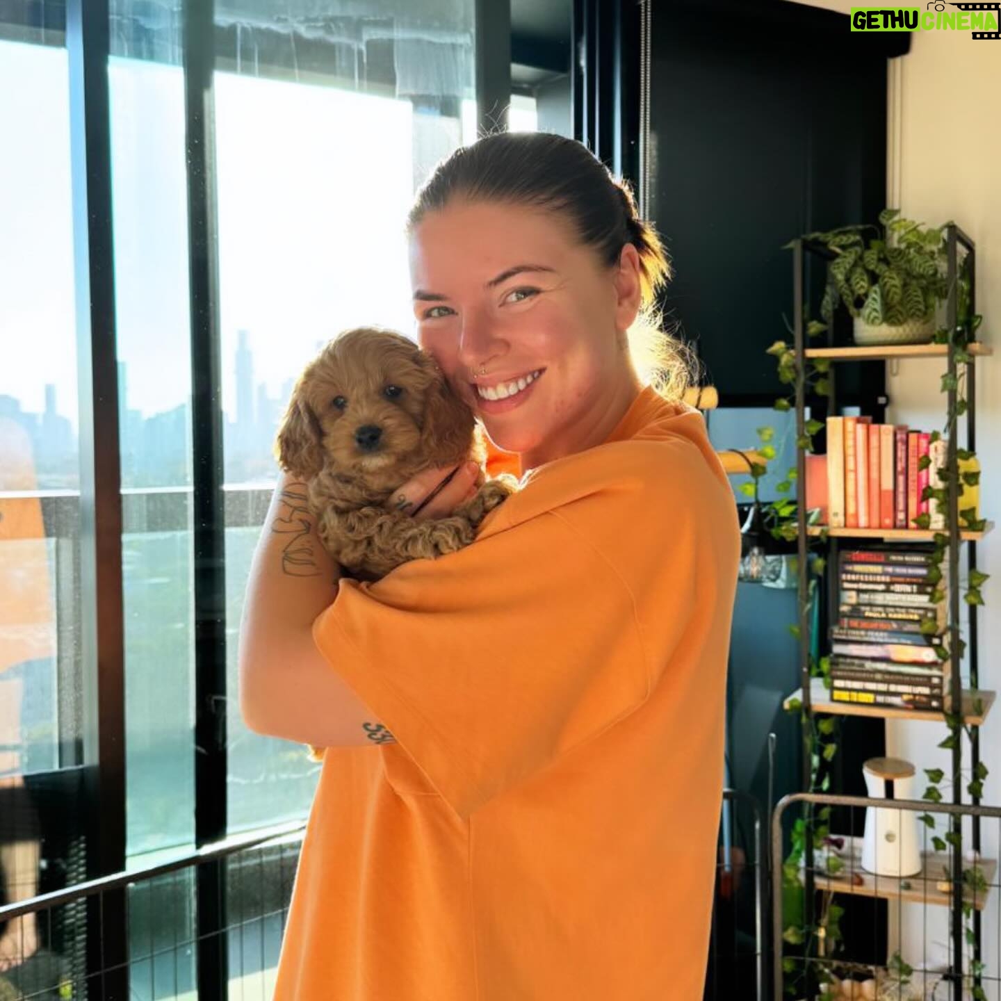 Beth Spiby - 542 Likes - When 2 became 3 🐶 Sully 💘
