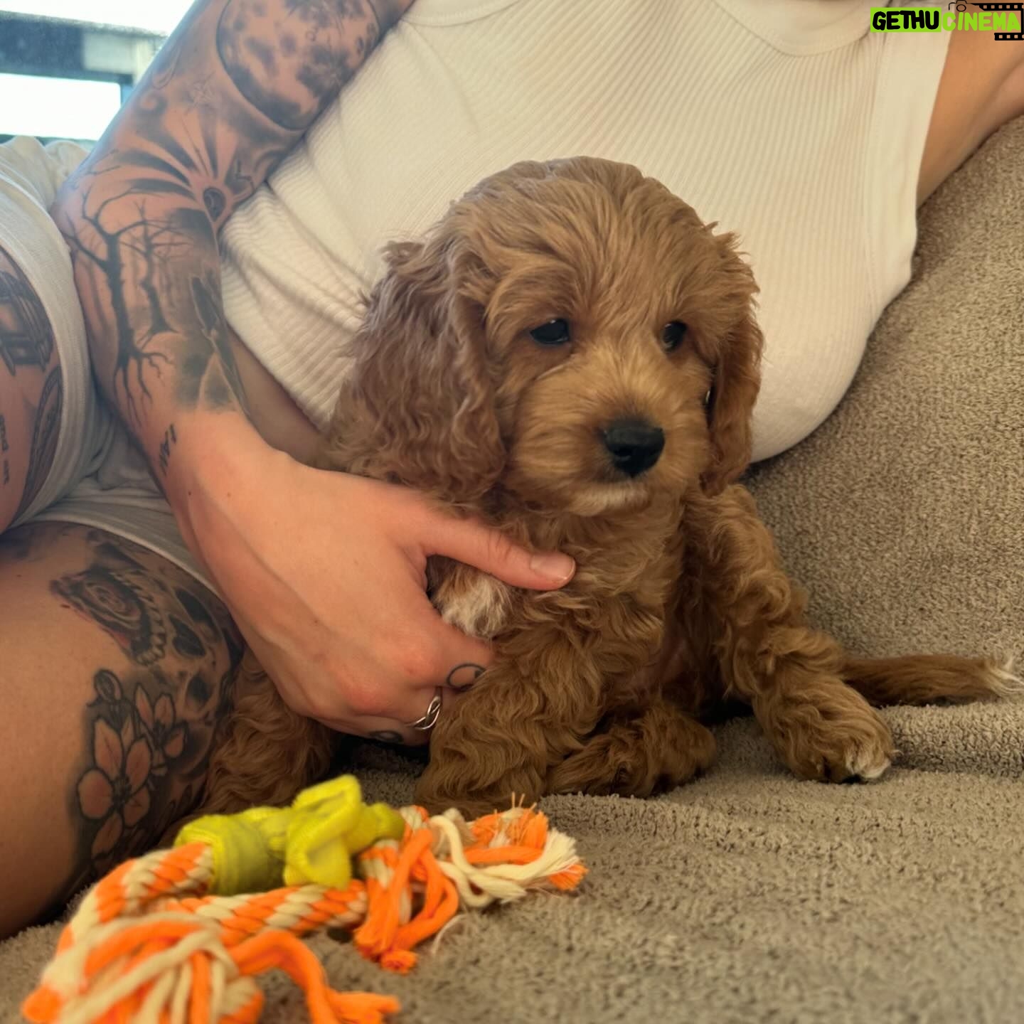 Beth Spiby - 542 Likes - When 2 became 3 🐶 Sully 💘