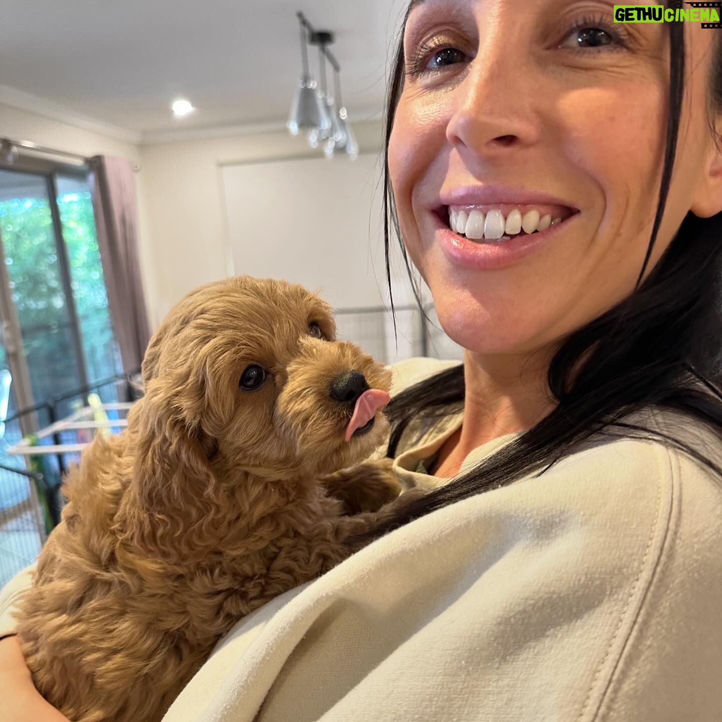 Beth Spiby - 542 Likes - When 2 became 3 🐶 Sully 💘