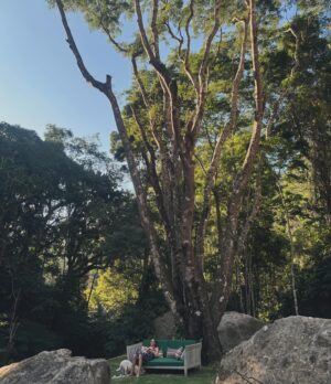 Betina Schmidt Instagram - na terra, mais pertinho do céu 🍃