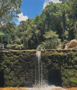Betina Schmidt Instagram - na terra, mais pertinho do céu 🍃