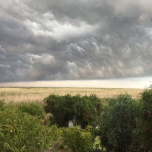 Betül Çobanoğlu Instagram - #nofilter #nature #clouds #estigürlediyağmadı