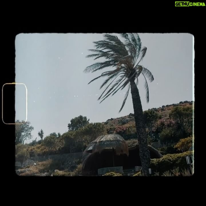 Betül Şahin - 8K Likes - 🤍🖤