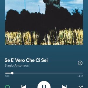 Biagio Antonacci Instagram - Ho involontariamente coperto il viso di questa mia adorabile amica, la cantautrice rock per eccellenza  anima senza paura e sempre diretta verso il cuore…
Condividere bene il poco tempo vale più di ogni momento buttato a caso.

W Gianna W Penelope ❤️❤️

#BiagioAntonacci #GiannaNannini #Isoladelba @officialnannini