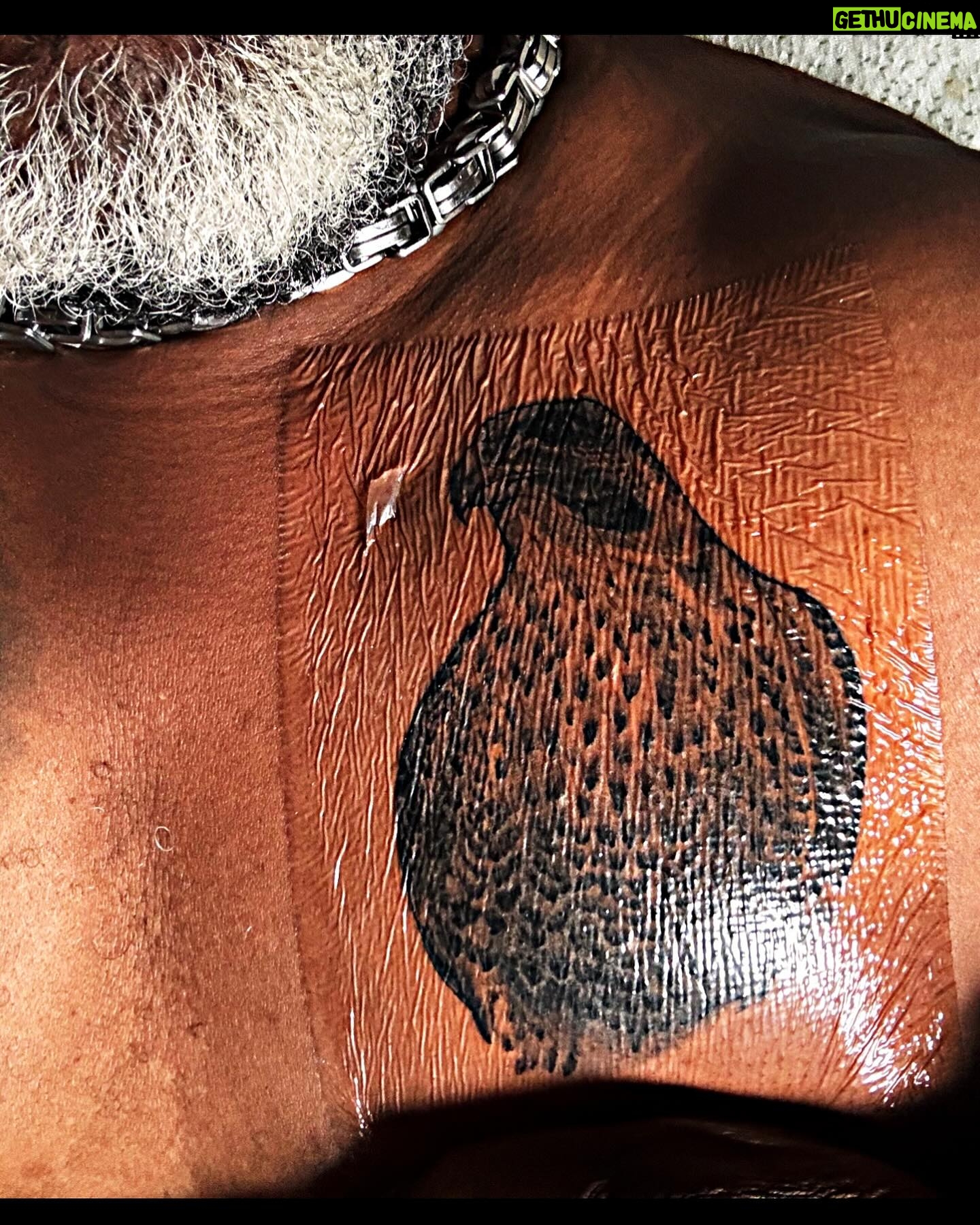 Big Moe Cason - 325 Likes - My friends @pinkelephanttattoo has done a great job again! Im very happy with my Abu Dhabi tattoo.āš¾šÆš„ #peregrinfalcon #abudhabi #worldwide #lovemylife #bbq #bbqfamily