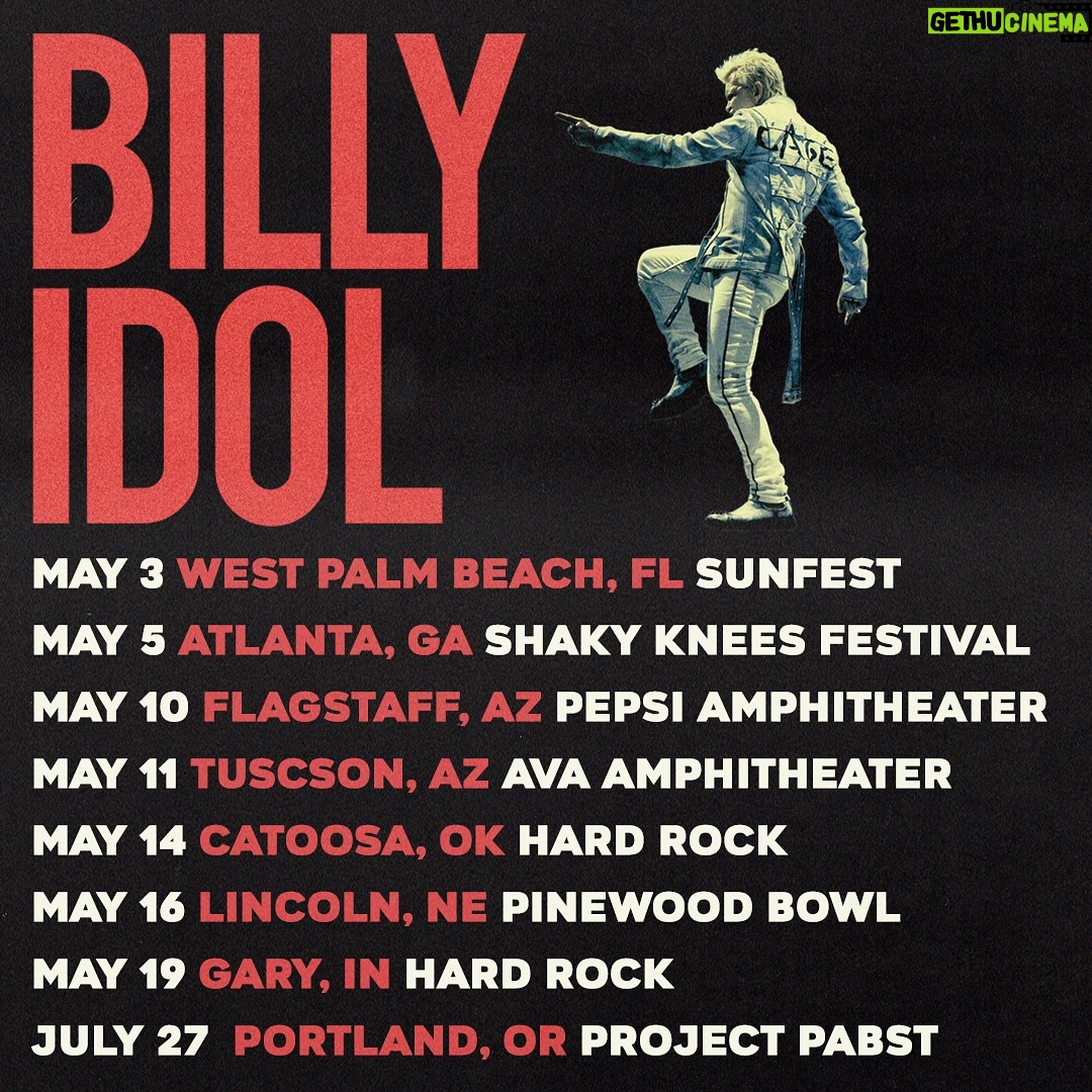 Billy Idol - 8.5K Likes -