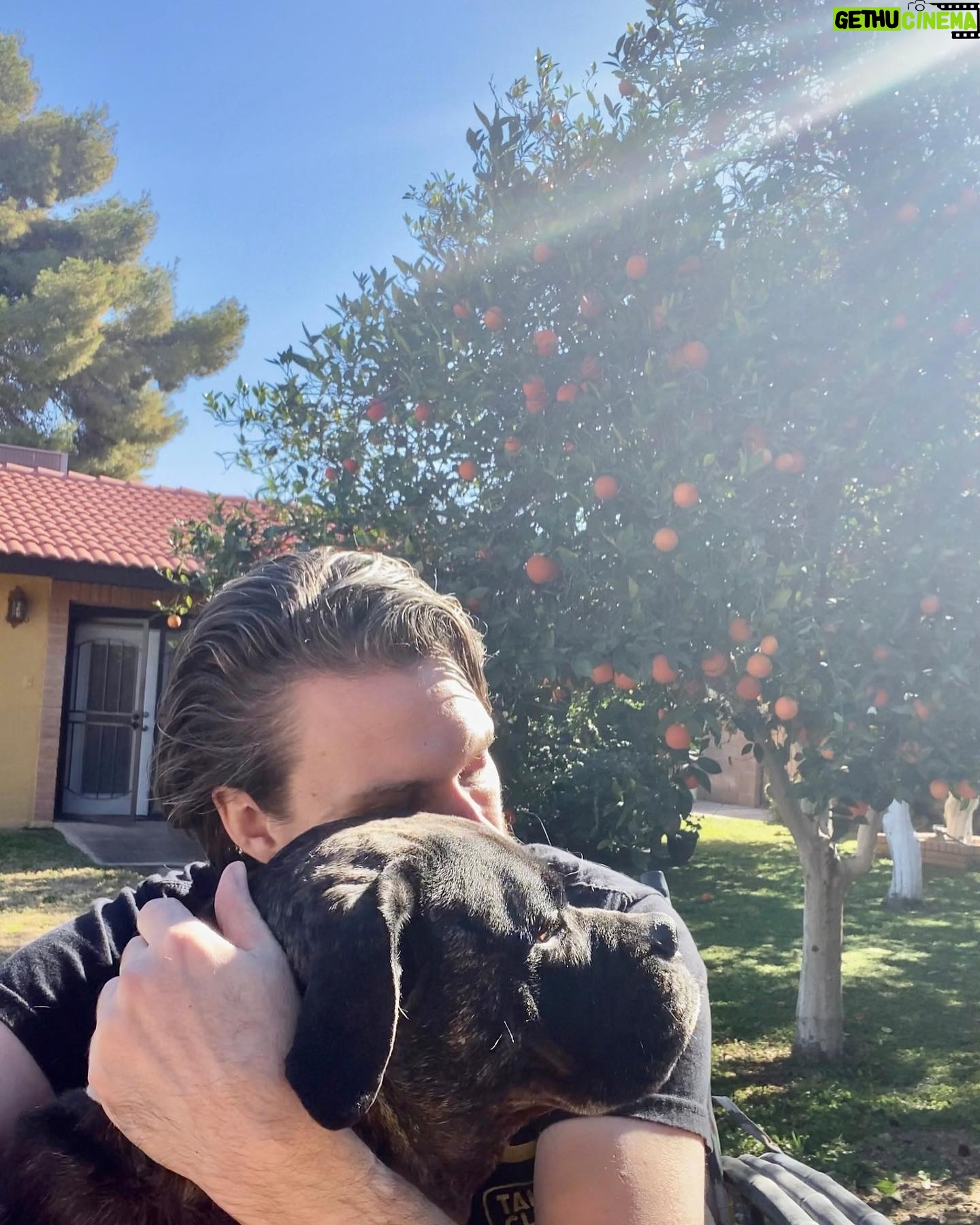 Billy Jensen - 11.6K Likes - Pets are life. They run and jump and flop around and have no idea what their tiny moments do to our hearts and our hope. Dogs. Cats. Lizards. Doesn’t matter. They are transformative mental health wizards.
Today I’m 7 months sober. I’m a newbie still working steps and have so few answers and a long way to go. But I’ve been seeing and talking to a lot of people working dry January and thinking about going year round. If you do, get a pet.
When you lose alcohol or drugs, you lose the thing you might have relied on for years to push aside intrusive darkness each day and night. Depression, OCD and su@3cide ideation— the welcome temporary relief was there but it was also killing you. And it still can pound you into the ground. Luna is a tiny goofy spark of light for me each day. So a pet. A pet and therapy and meds and meetings if that’s your thing and milkshakes and fizzy drinks and sunshine. Let me know what works for you.
And as this is Instagram, there are some amazing mental health and recovery accounts to follow. @fightthroughmentalhealth @bekindmentalhealth @theocdtherapist @talkclubuk @fucking_sober @muppet_recovery @obsessivelyeverafter
are some of my favorites. #Sobriety #recovery #process #ocd #dryjanuary #hope #desertDogs #Sober #7months