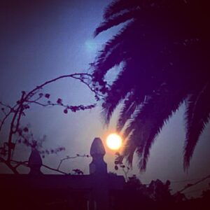Billy Tolley Instagram - It might look like the sunrise... but this is the moon 🌙 last night. 99% full for 3 straight nights. Kinda strange. I always feel the energy leading up to it. #FullMoonBaby ⚡️🌝