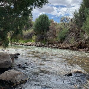 Billy Tolley Instagram - Enjoy your Saturday. #Nature #zen #Stream #instagood