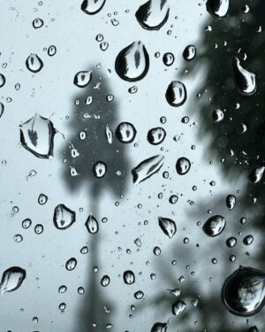 Birsa Dasgupta Instagram - Through a glass darkly..

Yule Tea Retreat 
Andrew Yule Tea Estate 
5th of July, 2024

@yuletearetreat 

#reflection #reflections #window #windows #rain #raindrops #tea #bungalow #nature #heritage #himalayas #mountains #painting #love #life #photography #iphonephotography #photogram #instamood #instavibes #instahappy #instagood