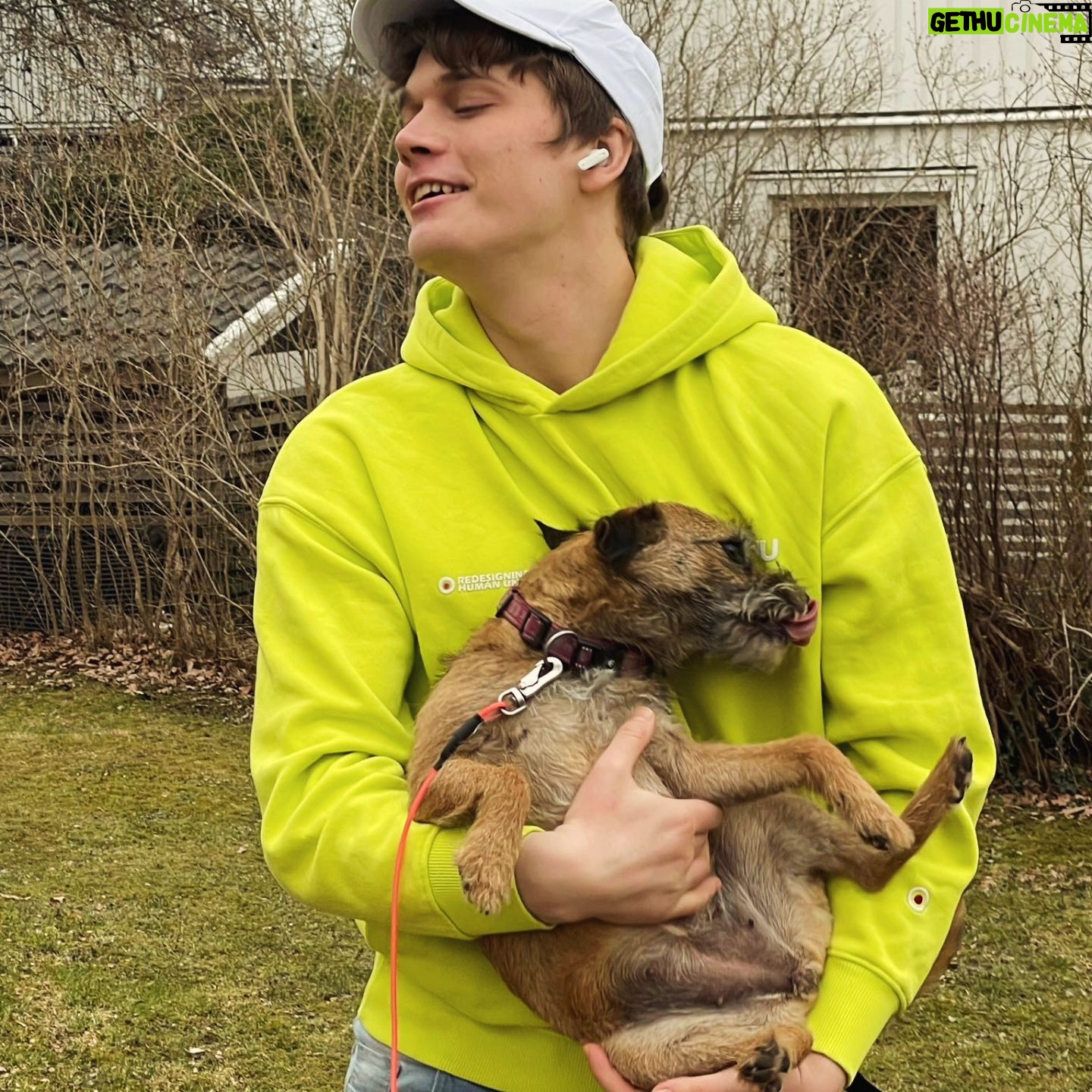 Björn Mosten - 14.3K Likes - Little best baby borderterrier