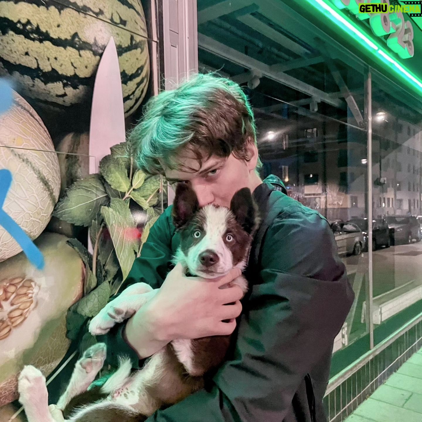 Björn Mosten - 36.3K Likes - 11w bordercollie
@clara.osv