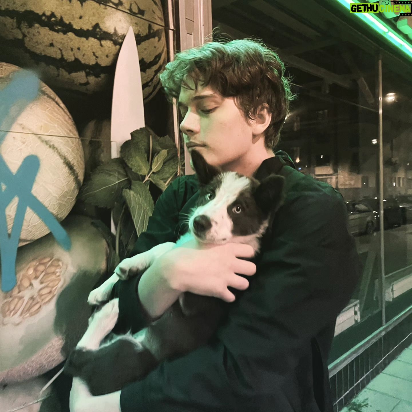 Björn Mosten - 36.3K Likes - 11w bordercollie
@clara.osv