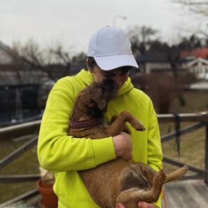 Björn Mosten Instagram - Little best baby borderterrier