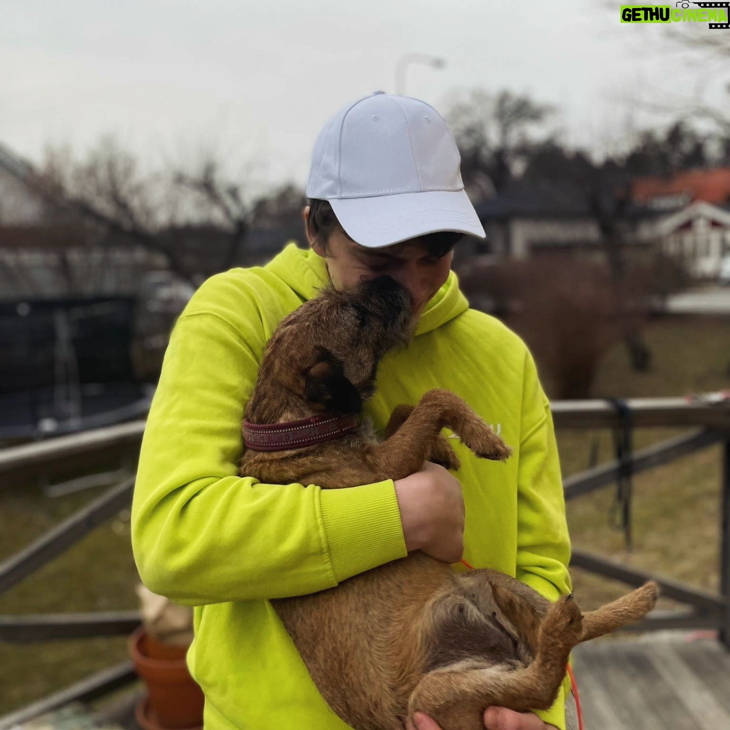 Björn Mosten - 14.3K Likes - Little best baby borderterrier