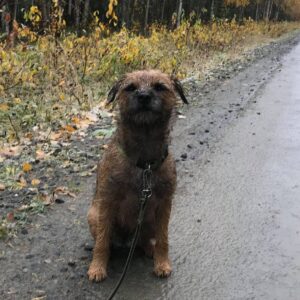 Björn Mosten Instagram - Oh my god this dog