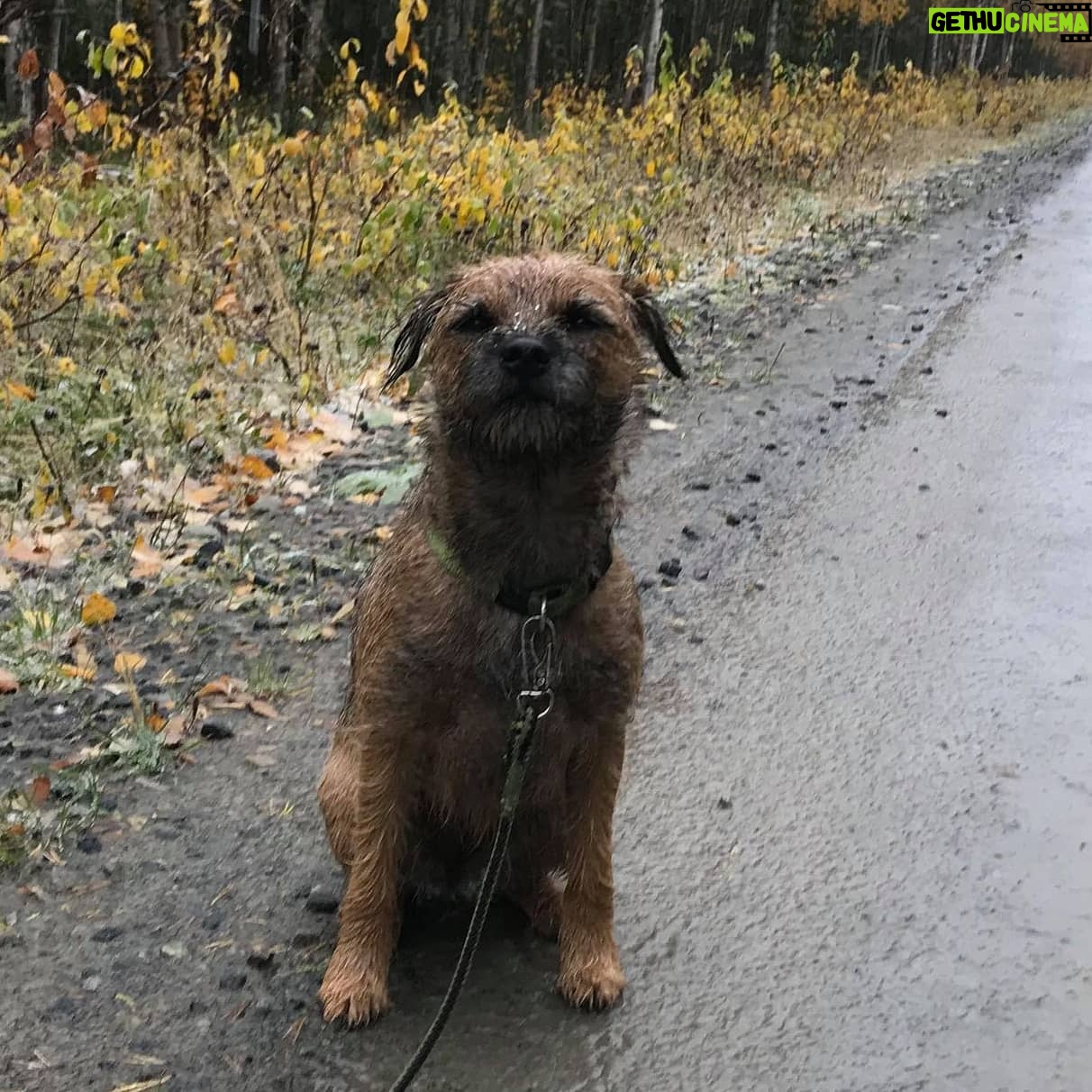 Björn Mosten - 25.3K Likes - Oh my god this dog