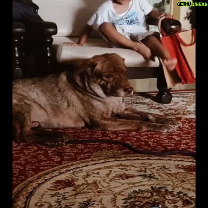 Bjorn Surrao - 2.7K Likes - Thank you for the best of times my boy ā„ļø thank you for bringing so much happiness to this life . We're gonna miss you big time .
Love you 3000 billion
Rest Easy