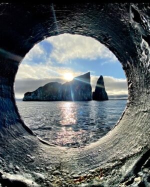 Blair Underwood Instagram - Yeah… I think I swallowed too much salt water snorkeling this last time. Lol. NOT the plan! But worth it! #BucketList @quasarex, @howelltalentrelations
#quasarexpeditions, #evolutionyacht, #galapagosislands, #quasarex
#travelpartner