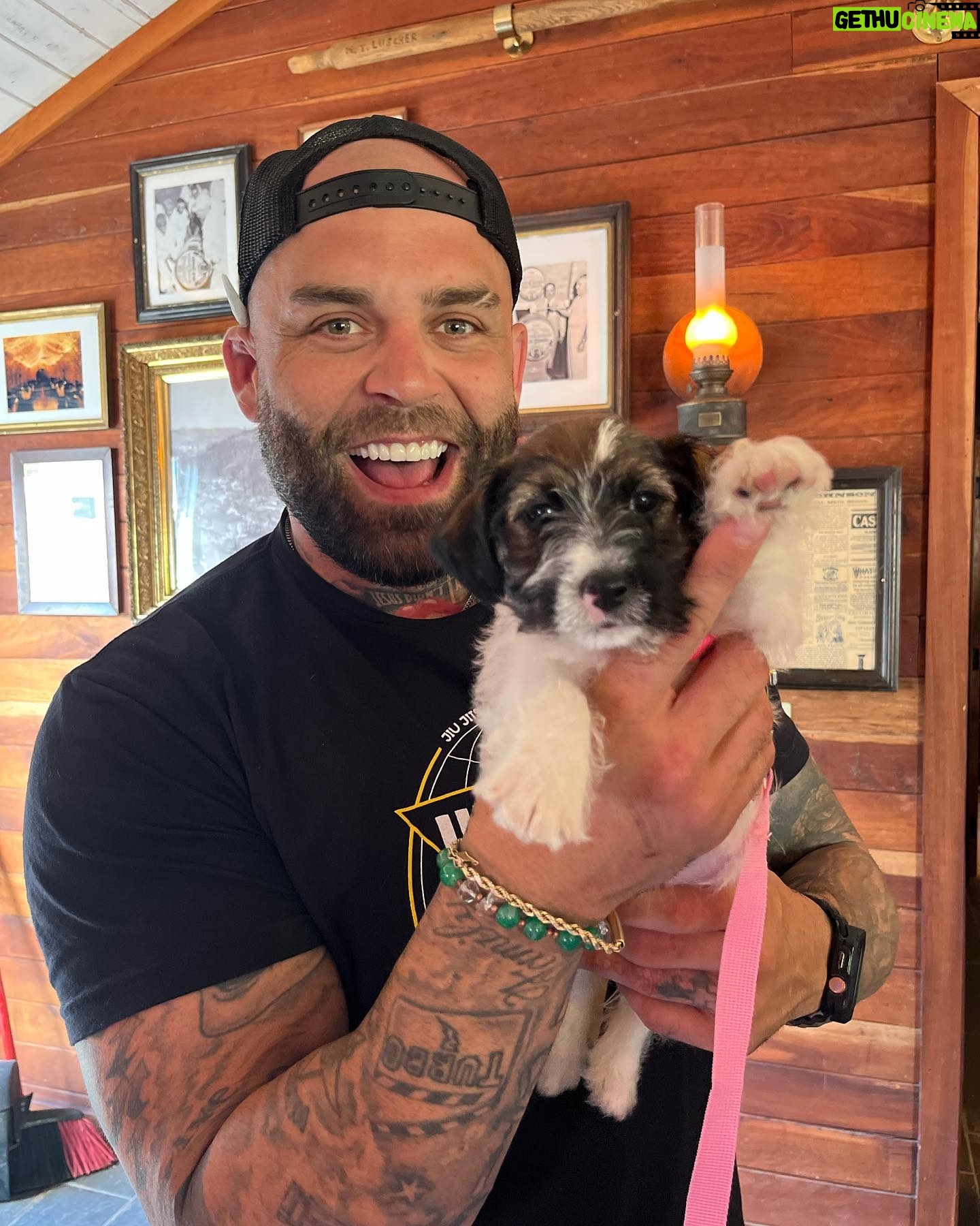 Blake Foster - 0.9K Likes - Puppy š¶ Love ā¤ļø