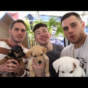 Blake Jenner Instagram - Thank you to everyone who supported American Animals last night and thank you SXSW for having us! Good times with good peeps. Coming at ya June 1st 😎👊👍