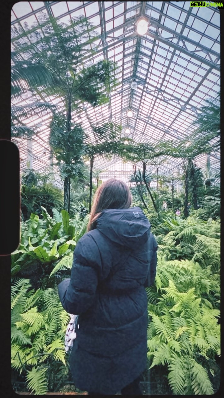 Blake Vaz - 3 Likes - A lovely afternoon with my lovely wife at the Garfield Conservatory in Chicago. @v_____vaz
@gpconservatory
#chicago #chitown #homecoming #cittaventosa