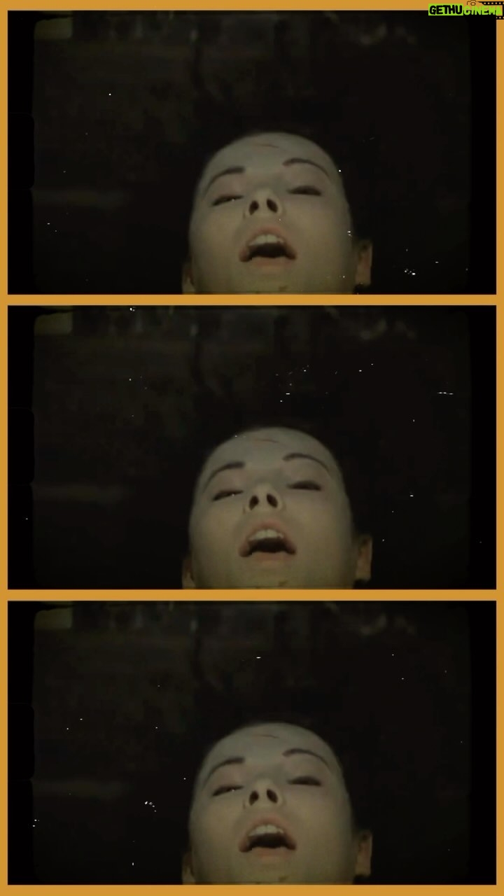 Blake Vaz - 3 Likes - Blake Vaz Presenta:
Morte del Lunedì!
Una scena di morte da un giallo ogni lunedì...
Oggi è il turno di
“4 MOSCHE DI VELUTTO GRIGIO”
(FOUR FLIES ON GRAY VELVET)
Regia di il MAESTRO DARIO ARGENTO
Con MICHAEL BRANDON, la bellisima MIMSY FARMER e JEAN PIERRE MARIELLE
Enjoy
#blakevazpresenta #giallo #mortedellunedi
#giallofilms #instagiallo #horrorfilms #horror #instahorror #darioargento
#michaelbrandon #mimsyfarmer #jeanpierremarielle
#4moschediveluttogrigio #quatromoschediveluttogrigio #fourfliesongreyvelvet