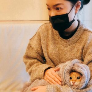 Blue Lan Instagram - 2/20
6個月大開始陪伴我度過了16年的靴靴老爺
跟大部分養貓人的分享一樣
貓貓一直都很健康的感覺
這麽老了還食慾很好喝水也不用人擔心
鏟屎鏟尿都很豐盛
精神狀況也都沒問題
瘦，我想是老了肌肉流失吧
吐，哪隻貓不吐，哪隻老貓不吐
只要吐的頻率不是太誇張或吐的內容有異常
都沒有想過會有什麼問題

2/13那天很忽然的傍晚到14號早晨牠總共吐了10次
並且完全不吃不喝
最後兩次的吐帶著紅點不知道是肉還是血絲
14號立刻帶牠去醫院
檢查出來甲亢指數15.6
回家餵藥後牠還是不吃不喝拉肚子伴隨輕微血便
很緊張的打給醫生他要我再觀察
15號牠還是不吃不喝一直窩在奇怪的陰暗角落
並且當時灌食很有難度牠很痛苦害怕

那天整個下午我都在打電話給醫院求救
除了老話再觀察之外
說真的不能灌食就插食道管或鼻管餵食
醫生說他16號休假要17號才能裝
基於整個溝通不是我想要的
以及我知道貓咪2-3天沒有進熱量狀況會變非常糟糕
甲亢會影響肝臟心臟等多個器官
牠會非常，非常，非常不舒服
不是我們看到不吃不喝這樣表面而已
我不要牠到17號都沒吃飯即使有打皮下
我不斷地想要不要幫牠換醫院
因為牠很不喜歡出門害怕出門更不要說醫院
即使找給牠的是零氣味、零狗貓吠叫
看診品（費）質（用）很（很）好（高）的專科醫院
仍會嚇的牠叫聲連連氣喘吁吁體味濃郁
所以我一直想一直想
想的頭髮大把大把掉
眼淚一顆一顆落

如一些家長一樣
我會想我的貓這麽老了
還要這樣帶牠東奔西跑折磨嗎
還是牠只是時間到了該走了我該放手
我相信這是所有家長最難的一題
「這真的是牠要的嗎？」
貓咪不會說話
每一個決定只能由我們幫牠們做
也就是因為這樣我們更要具備基礎的知識
還有對自己的孩子足夠的瞭解跟觀察
有兩件事讓我確定要換醫院，我要幫牠

一是牠開始服藥後會走去放飯的地方徘徊聞嗅食物，牠想吃。
二是看到一個說法，原本我們都知道貓咪要離開前會去暗暗的地方，但這篇文是說，那是因為牠們覺得這樣比較舒服，會比較快好起來，牠不是想死，牠想活。

16號一早我抱著牠去，帶著報告、帶著希望
因為離發病到今天已經來到第四天，斷食第三天
醫生針對重要部分驗血確認數值變化
重新開藥、重新調整病期飲食、每天帶去醫院打皮下給醫生觀察順便由家長跟醫生報告前一天的狀況
醫生認為現在吃的下比積極給甲亢藥物讓牠甲亢數值掉下來還重要
建議我們採取「西醫藥物中醫治療」的方式
取得治療甲亢、腸胃道舒適度以及其他器官間的平衡

到昨天19號
老樣子打皮下並重新血檢驗全部數值
甲亢指數15.6變成5.4還沒到正常但接近了
本來要插鼻管到現在牠身上沒有任何管子就躺在我旁邊洗澡
本來的藥丸改成耳劑到現在牠會自己去吃食物雖然還不是很多
本來每兩個小時的灌食因為我不得其門而入每次餵食得跪在地上搞一個小時跪到雙膝淤青
雙方都很痛苦害怕才能餵入10ml
到現在藉由醫生的展示、藉由yt影片其他家長的灌食技巧分享、也因為有一次我直接跪地伏地兩個小時不給牠任何壓力的灌食只為了讓牠忘記之前對灌食的恐懼
以上種種的幫助
現在10ml只要3分鐘
稍微幫牠抬頭針筒嘟在嘴邊就可以吃
從本來的陰暗角落又回到溫暖的床、沙發、貓窩
叫聲很宏亮，貓也呼嚕嚕的

說也神奇
敏感膽小的牠來到這間醫院非常穩定乖巧
即使有看到別人帶寵物來待診也不哈氣
在這裡我又聽到一個說法

「每一隻貓對生死都看的很淡，但牠們都會努力到最後一刻，因為牠們好不容易才投胎成為這個生物來到這裡，下一次不知道會是什麼，不知道是什麼時候。牠們唯一放心不下的，只有主人」

我們會一直努力的，希望每位家長都能有足夠的知識和勇氣，捍衛毛孩的生存權，有病就治，治不了就放手，牠們怎麼舒服，怎麼來。

願 人寵均安

#幼貓記得保險
#寵物記得每年健檢
#各位哥哥姊姊的祝福老靴我當成正能量都吃掉囉