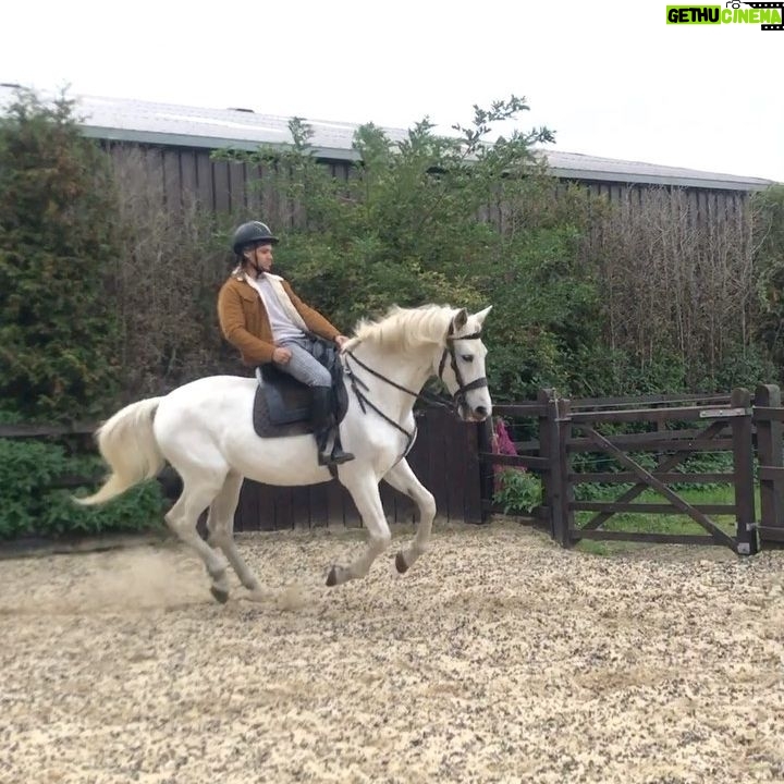 Bluey Robinson - 3.6K Likes - Ever see a South Londoner on a horse? Been making some new friends lately. Never appreciated how majestic these animals were before. #Blueydakid 🐎