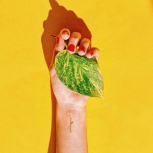 Bolli Instagram - Todo se nos llena de flores en casa.
El primer tatuaje a color de @lettipop ¡sabía yo que su futuro estaba en la tinta!