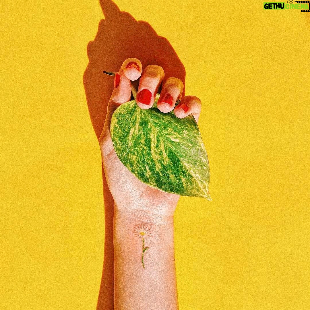 Bolli - 1.8K Likes - Todo se nos llena de flores en casa.
El primer tatuaje a color de @lettipop ¡sabía yo que su futuro estaba en la tinta!
