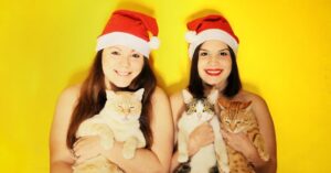 Bolli Instagram - 🎄🎁 Felices Fiestas de parte de la familia #popstuff 🎁🎄