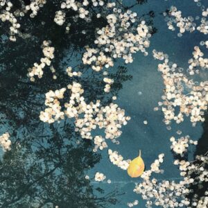 Bolli Instagram - 🍂 ponzoñoso/a: 2. adj. Nocivo para la salud espiritual, o perjudicial para las buenas costumbres 🍂