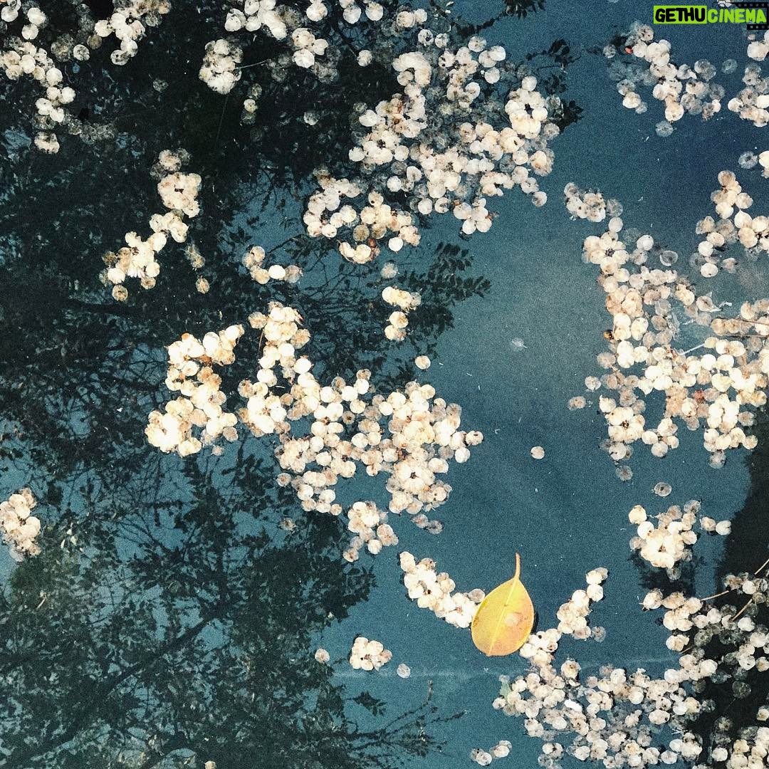 Bolli - 1.8K Likes - 🍂 ponzoñoso/a: 2. adj. Nocivo para la salud espiritual, o perjudicial para las buenas costumbres 🍂