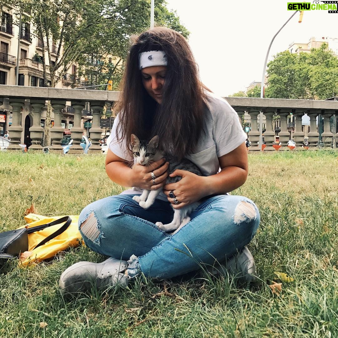 Bolli - 2K Likes - Salvajes 😸