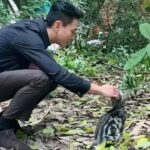 Bosco Wong