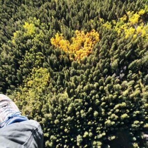 Brad Falchuk Instagram - I feel like this is a good sign. 💛 #aspen #paragliding