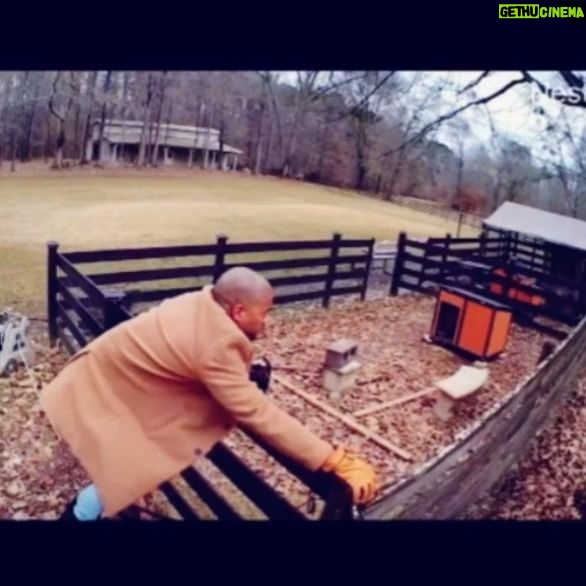 Brad James - 2.4K Likes - Never a dull moment...
**no vultures were harmed during the making of whatever this is**
I'm out there fighting to protect the farm
*meanwhile*
@keshiaknightpulliam is laughing so hard on the phone with @veganchefgueli that she can't breathe 🤦🏾♂️