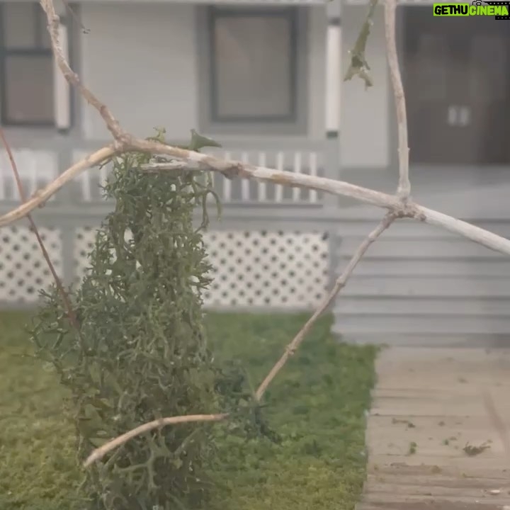 Brando Crawford - 2K Likes - šØā¤ļøš¤š