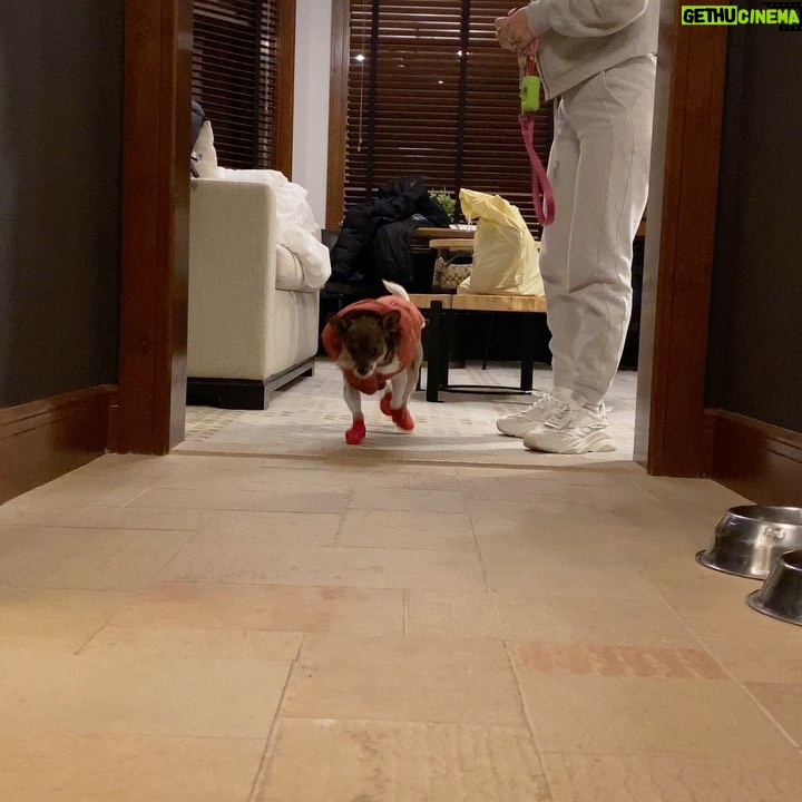 Brandon Larracuente - 6.9K Likes - Livinā