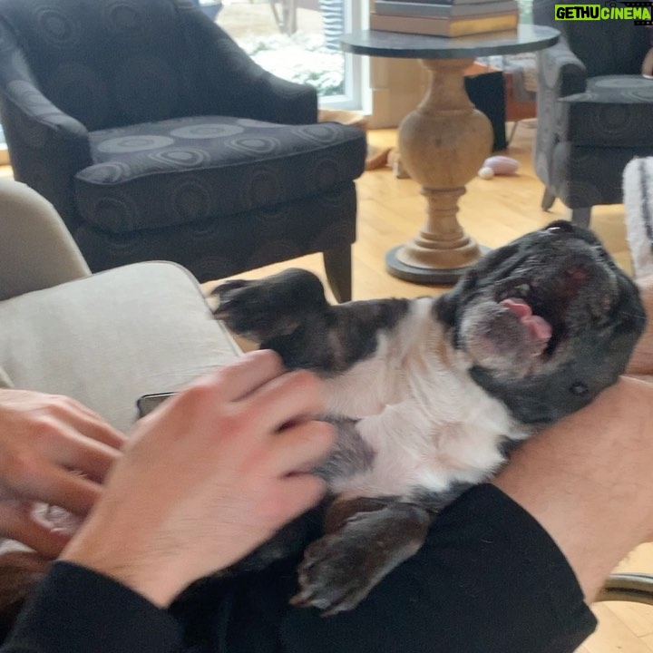Brandon Prust - 8.9K Likes - Yesterday was a tough day for the Prust family and all our friends. 1 of the most, if not the most loved family member, Lola, passed away 😢😢 this dog has meant so much to me for the last 9 years. There’s not 1 person she met that she didn’t make smile. You’ll see in the photos and videos how she could brighten anyone’s day. The video from the airport was a regular occurrence. I flew a lot and would always let her off her leash to walk beside me. She was a tractor beam for humans. People would flock to her and then leave her with the biggest smile on their face. I was lucky enough to have received this love from her for 9 years. I will miss her snoring, snorting and grunting noises. I will miss her begging for my empty water bottle or her staring at the blue bin for me to pull 1 out. But most of all I will miss her love, affection, cuddles and kisses. And I know everyone who knew her will miss the same because she gave those things to everyone!
RIP Lola poopoo, you were the best.