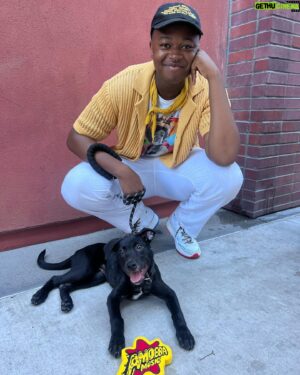 Brandon Severs Instagram - well the streets said it’s #internationaldogday so i figured i’d introduce everyone to my new love juniper!

also shoutout to @itsmichaelcimino’s dogs for having her and her siblings ahaha