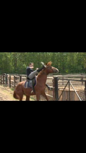Branislav Deák Instagram - skoro ma dal dolu 😎🙈🐎 ak máte podobné skúsenosti s jazdením, sem s nimi 😉, budem rád 🙏🏻 #super #jazda #nakoni #skorobolpad #akpadnestrebaznovadosedla #ride #cowboy #nafarme #horse #behindthescenes #oteckovia