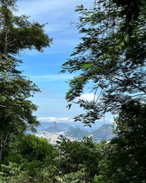 Brant Daugherty Instagram - Going to Rio de Janeiro for Carnival has been a bucket list dream for me. Thanks to @AmericanAir I finally made it! The people of Brazil and the incredible Carnival parade are things I’ll definitely never forget. And there’s no better way to get there than flying with @AmericanAir! #AmericanAirPartner