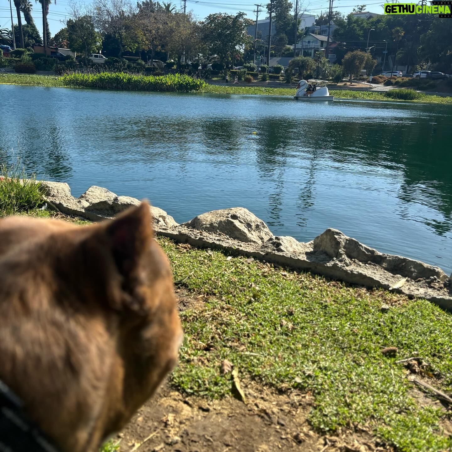 Brea Grant - 776 Likes - Lately:
1) tunnels @markevansdp
2) @skylightbooks with some of the best horror writers out there today
3) 💧🦆
4) Maxxxxxxine
5) the dreamy @chloefarnworth in Maxxxine
6) 🐸
7) @eddied4me in are in pre-pro on a horror anthology and documenting it in a podcast called Anthology Anthology