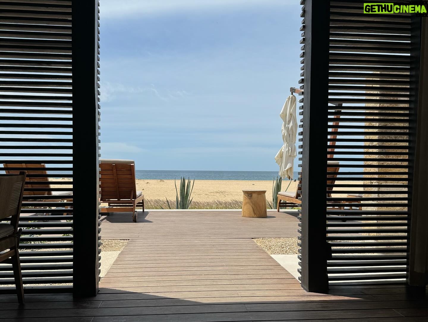 Brenda Song - 167.2K Likes - Cabo adventures. Who is she?!
@nobuloscabos #nobuloscabos #noburesidences