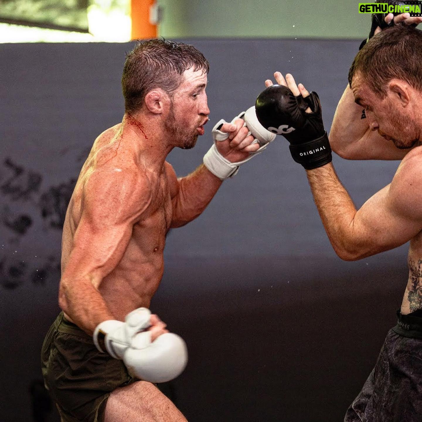 Brendan Loughnane - 1.6K Likes - PFL Champ x2 🏅