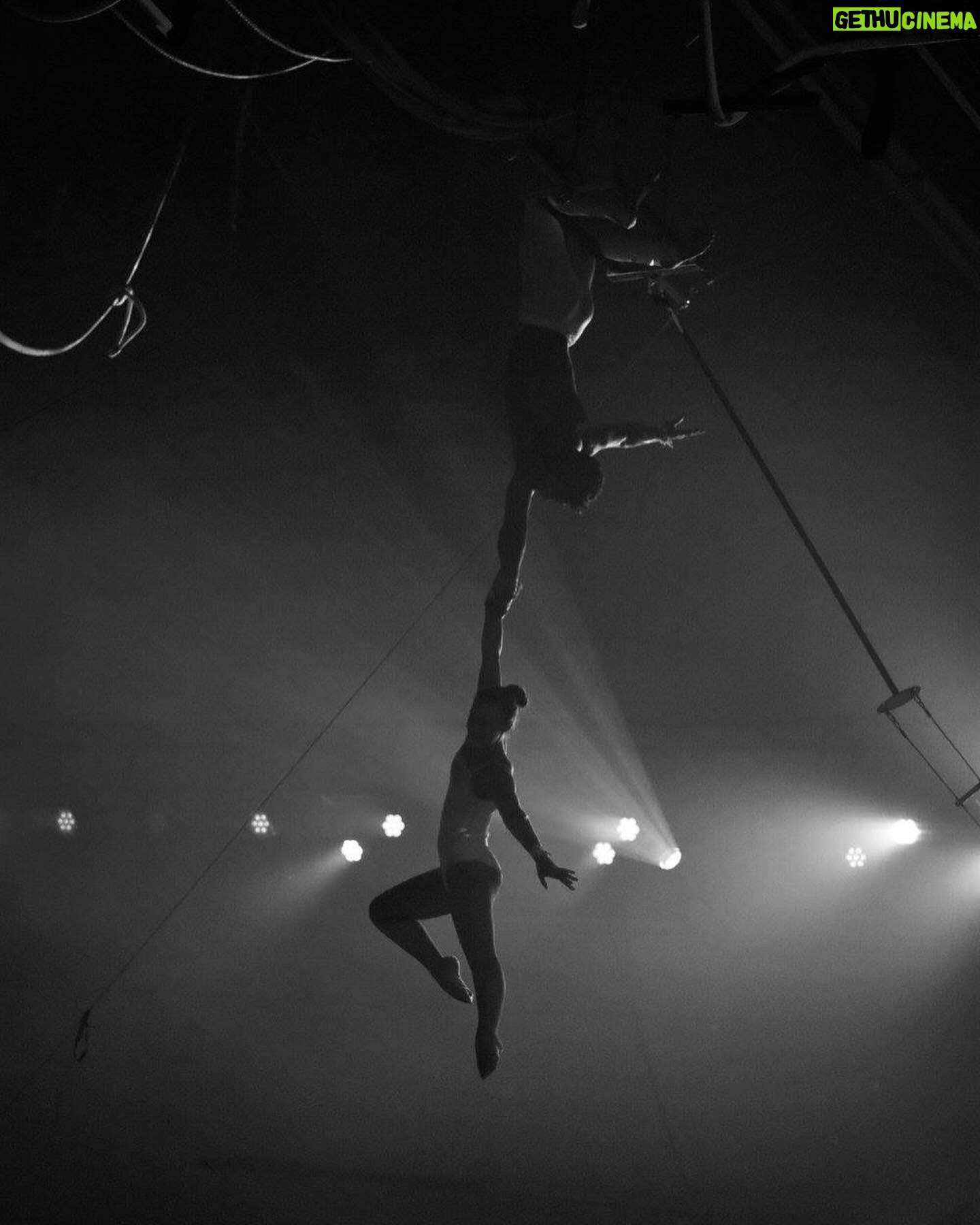 Brennan Mejia - 1.9K Likes - Happy world circus day from Katelyn and me!
#worldcircusday #acrobatics #acro #aerial #acroyoga