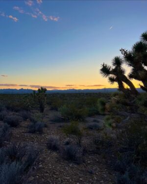 Brennley Brown Instagram - Most of my life I was surrounded by joshua tress and the pinkest of sunsets that you’ll ever see. I feel most at home in the desert. I thank The Lord for His beautiful creation.